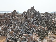 -青岛第一海水浴场