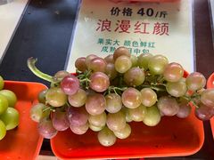 -马陆小张葡萄园农家乐