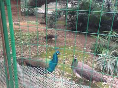 -镇江市南山风景名胜区竹林景区