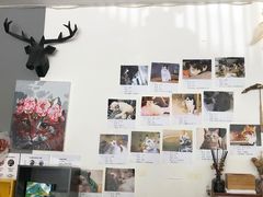 -平行世界·猫咖(首经贸店)