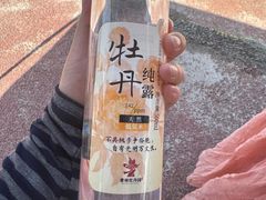 -曹州牡丹园