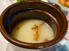 -禧宴Joyous Restaurant(禧园店)