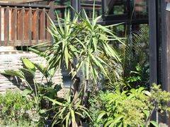 -北马山庄植趣咖啡