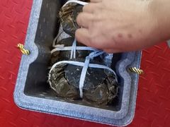 -蟹天蟹地农家菜·阳澄湖大闸蟹(浅水湾店)