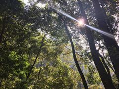 -广东大峡谷