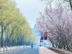 -吉林大学(南岭校区)