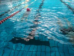 -佳明游泳馆(惠新西街南口店)