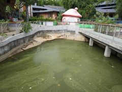 -观澜山水田园