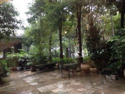 莲SPA(财富中心店)-依莲SPA