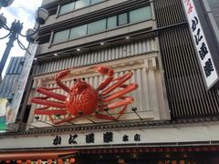 -蟹道乐(道顿堀本店)