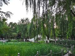 -康庄公园