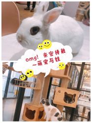 -动力星球家庭亲子游乐中心