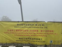 -狮子山郊野公园