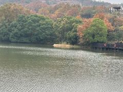 -白马涧龙池景区