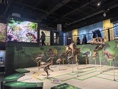 -国家自然博物馆