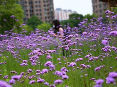 -杭州城北体育公园