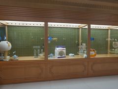 -帕帕拉兹宠物(亚洲旗舰店)