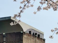 -龙美术馆(西岸馆)