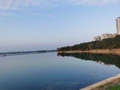 -金银湖国家城市湿地公园