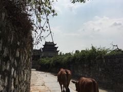 -上甘棠村