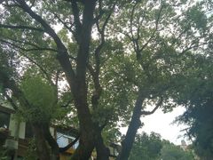 -上海蔡元培故居陈列馆