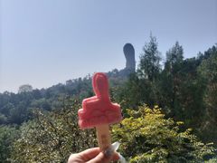 -磬锤峰森林公园