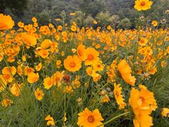 -东钱湖旅游度假区