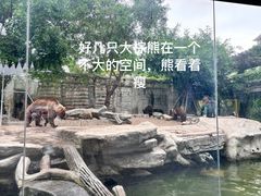 -灵玲国际马戏城