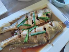 -宾朋海鲜饭庄(兴海路店)