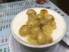 莲子炖奶-义顺牛奶公司(新马路老店)