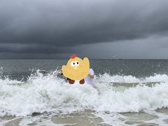 -玫瑰海岸文化旅游度假区