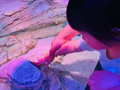 -沈阳海洋探索中心