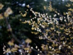 -白塘生态植物园