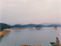 -广州市流溪河国家森林公园