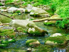 -玉渡山自然风景区