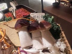 -大龙燚·旷野鲜火锅(广州首店)