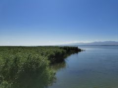 -乌梁素海景区
