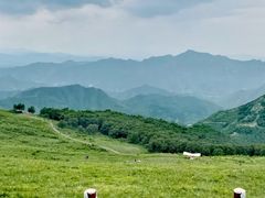 -灵山