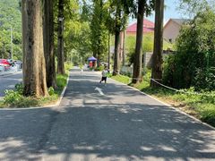 -东明山森林公园