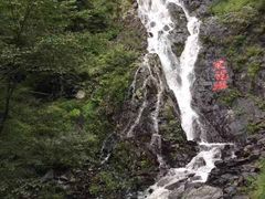 -凤凰山国家森林公园