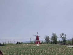 -羊亭河湿地公园