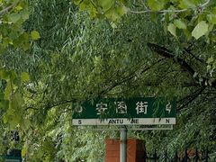-西塔
