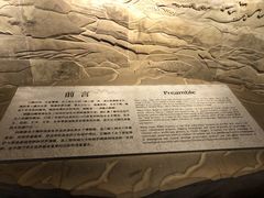 -白鹤梁水下博物馆