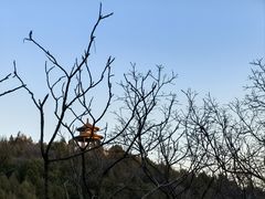 -府君山公园