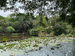 -海南热带野生动植物园