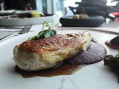 -翡翠36餐厅(浦东香格里拉店)