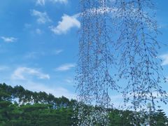 -迪茵湖田家舍生态农场