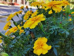 -金石唐风国际温泉会馆