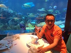 -迪拜帆船酒店海底餐厅