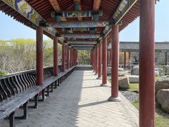 -中国唐苑